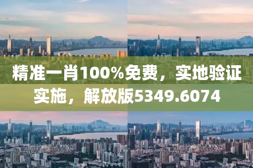精准一肖100%免费，实地验证实施，解放版5349.6074