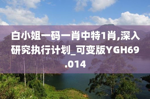 白小姐一码一肖中特1肖,深入研究执行计划_可变版YGH69.014