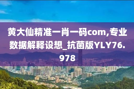黄大仙精准一肖一码com,专业数据解释设想_抗菌版YLY76.978