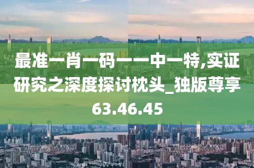 最准一肖一码一一中一特,实证研究之深度探讨枕头_独版尊享63.46.45