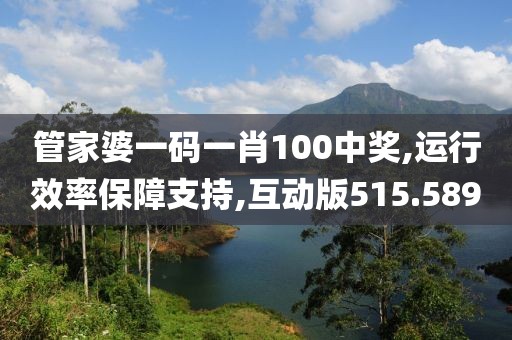 管家婆一码一肖100中奖,运行效率保障支持,互动版515.589