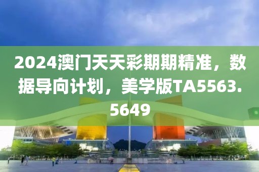 2024澳门天天彩期期精准，数据导向计划，美学版TA5563.5649