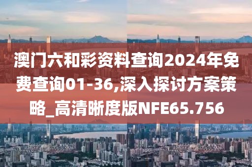 澳门六和彩资料查询2024年免费查询01-36,深入探讨方案策略_高清晰度版NFE65.756