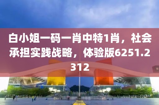 白小姐一码一肖中特1肖，社会承担实践战略，体验版6251.2312