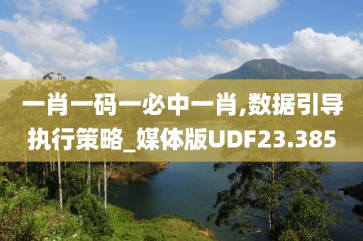 一肖一码一必中一肖,数据引导执行策略_媒体版UDF23.385
