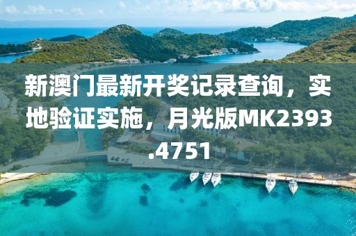 新澳门最新开奖记录查询，实地验证实施，月光版MK2393.4751