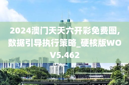 2024澳门天天六开彩免费图,数据引导执行策略_硬核版WOV5.462