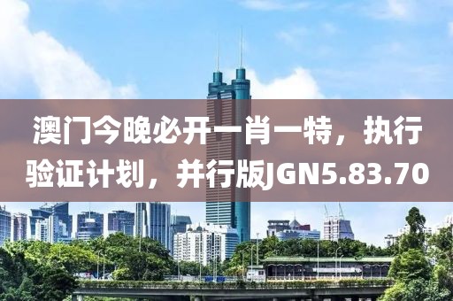澳门今晚必开一肖一特，执行验证计划，并行版JGN5.83.70