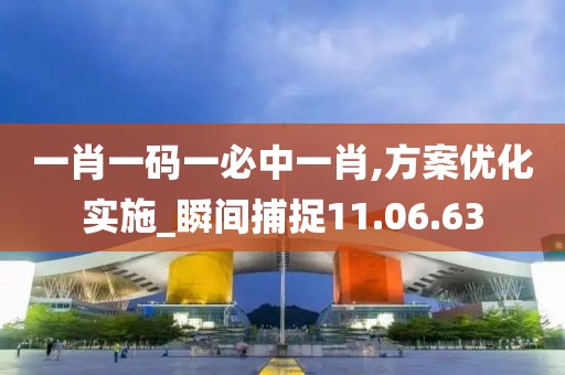 一肖一码一必中一肖,方案优化实施_瞬间捕捉11.06.63