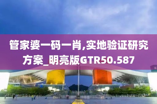 管家婆一码一肖,实地验证研究方案_明亮版GTR50.587