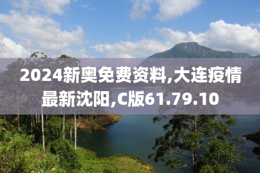 2024新奥免费资料,大连疫情最新沈阳,C版61.79.10