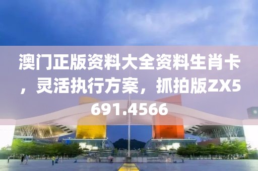 澳门正版资料大全资料生肖卡，灵活执行方案，抓拍版ZX5691.4566
