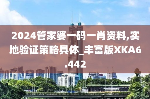2024管家婆一码一肖资料,实地验证策略具体_丰富版XKA6.442