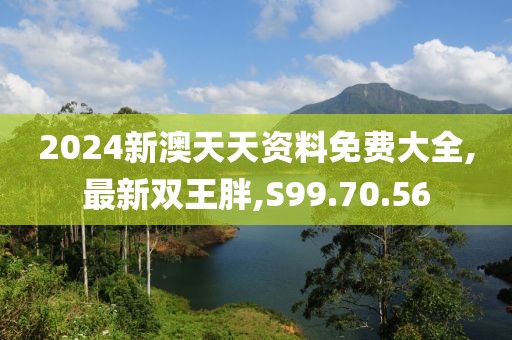 2024新澳天天资料免费大全,最新双王胖,S99.70.56