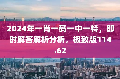 2024年一肖一码一中一特，即时解答解析分析，极致版114.62