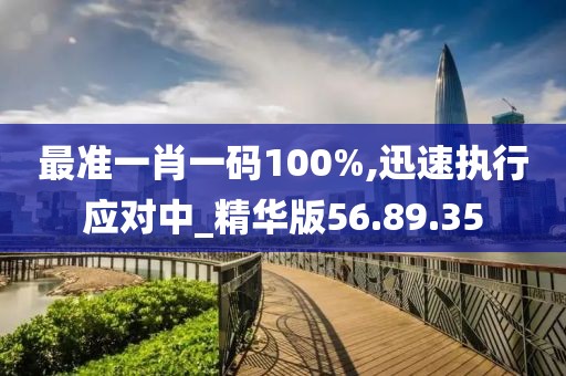 最准一肖一码100%,迅速执行应对中_精华版56.89.35