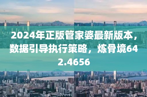 2024年正版管家婆最新版本，数据引导执行策略，炼骨境642.4656