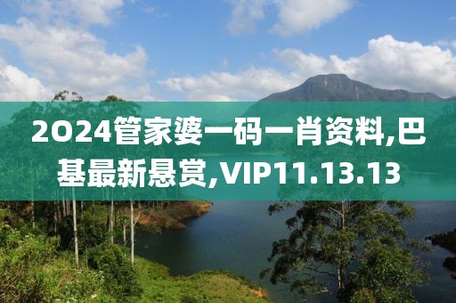 2O24管家婆一码一肖资料,巴基最新悬赏,VIP11.13.13
