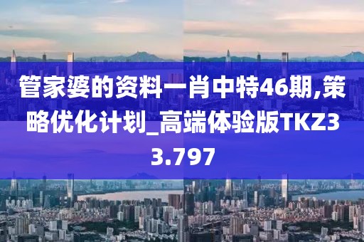 管家婆的资料一肖中特46期,策略优化计划_高端体验版TKZ33.797