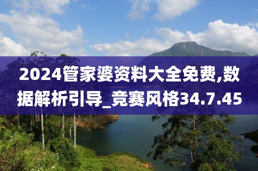 2024管家婆资料大全免费,数据解析引导_竞赛风格34.7.45