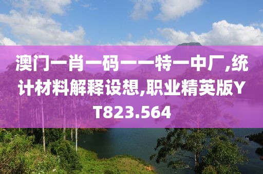澳门一肖一码一一特一中厂,统计材料解释设想,职业精英版YT823.564
