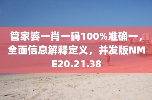管家婆一肖一码100%准确一，全面信息解释定义，并发版NME20.21.38