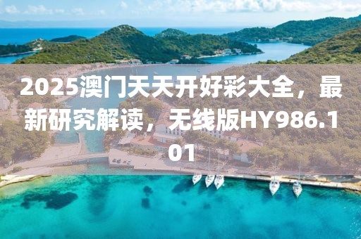 2025澳门天天开好彩大全，最新研究解读，无线版HY986.101