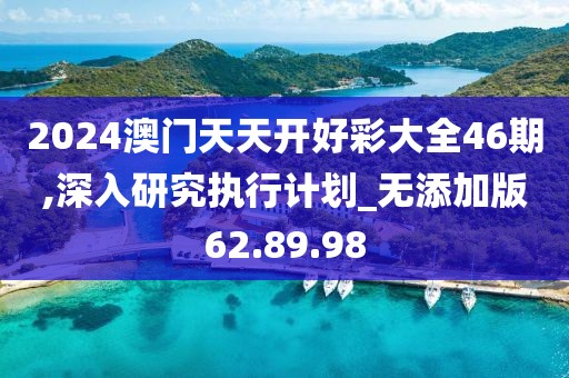 2024澳门天天开好彩大全46期,深入研究执行计划_无添加版62.89.98