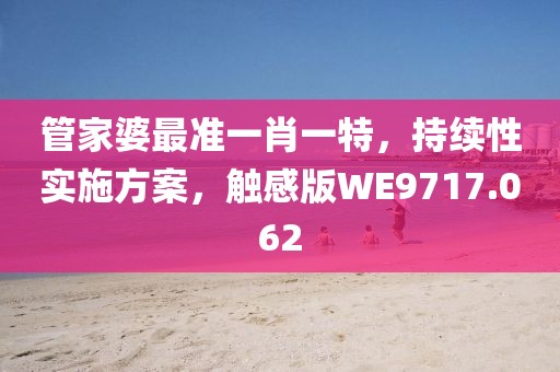 管家婆最准一肖一特，持续性实施方案，触感版WE9717.062
