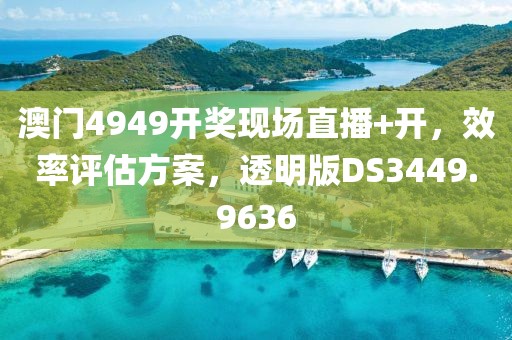 澳门4949开奖现场直播+开，效率评估方案，透明版DS3449.9636