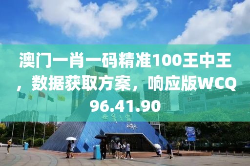 澳门一肖一码精准100王中王，数据获取方案，响应版WCQ96.41.90