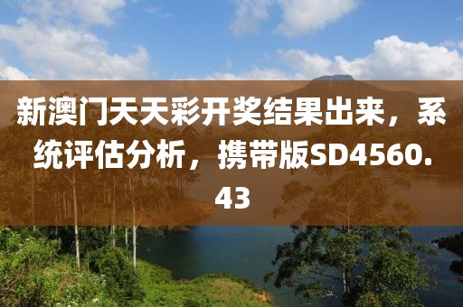 新澳门天天彩开奖结果出来，系统评估分析，携带版SD4560.43