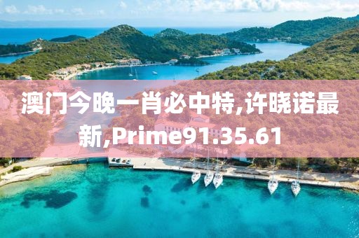 澳门今晚一肖必中特,许晓诺最新,Prime91.35.61