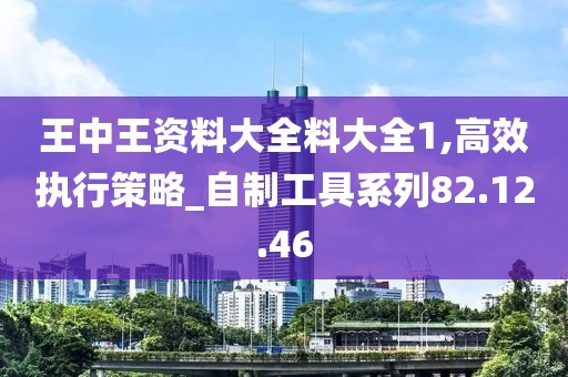 王中王资料大全料大全1,高效执行策略_自制工具系列82.12.46