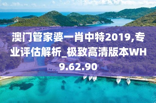 澳门管家婆一肖中特2019,专业评估解析_极致高清版本WH9.62.90