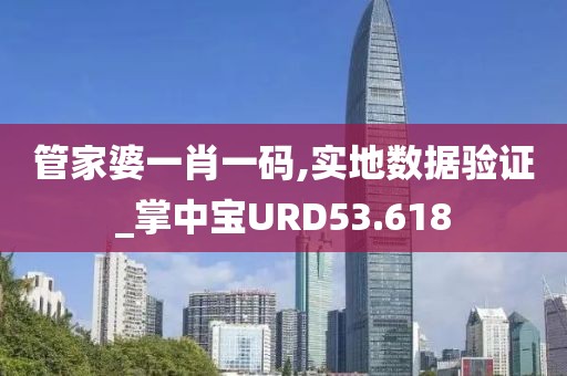 管家婆一肖一码,实地数据验证_掌中宝URD53.618