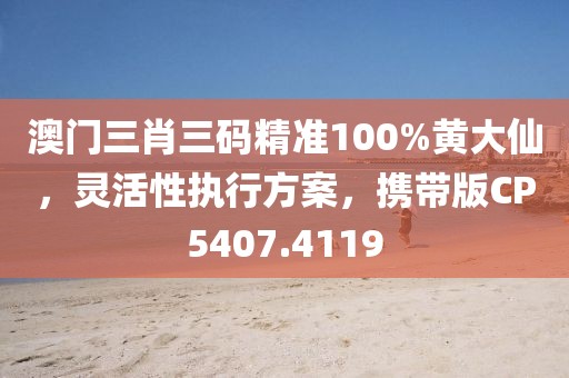 澳门三肖三码精准100%黄大仙，灵活性执行方案，携带版CP5407.4119