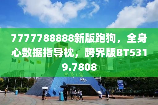 7777788888新版跑狗，全身心数据指导枕，跨界版BT5319.7808