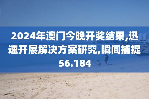 2024年澳门今晚开奖结果,迅速开展解决方案研究,瞬间捕捉56.184
