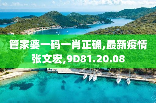 管家婆一码一肖正确,最新疫情张文宏,9D81.20.08