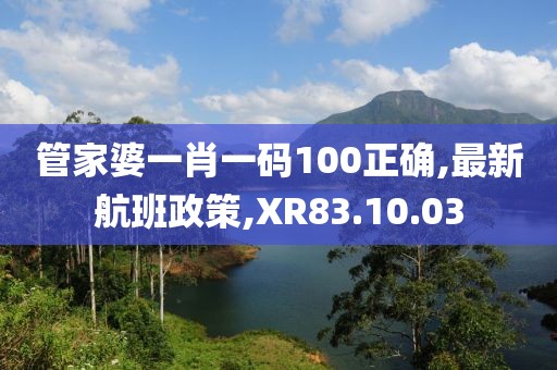 管家婆一肖一码100正确,最新航班政策,XR83.10.03