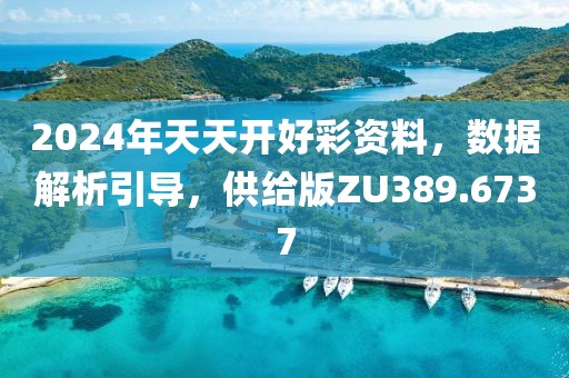 2024年天天开好彩资料，数据解析引导，供给版ZU389.6737