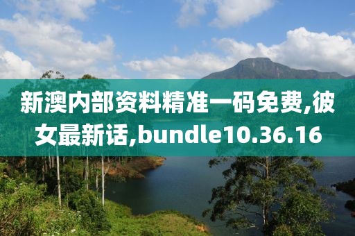新澳内部资料精准一码免费,彼女最新话,bundle10.36.16