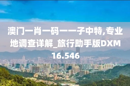澳门一肖一码一一子中特,专业地调查详解_旅行助手版DXM16.546