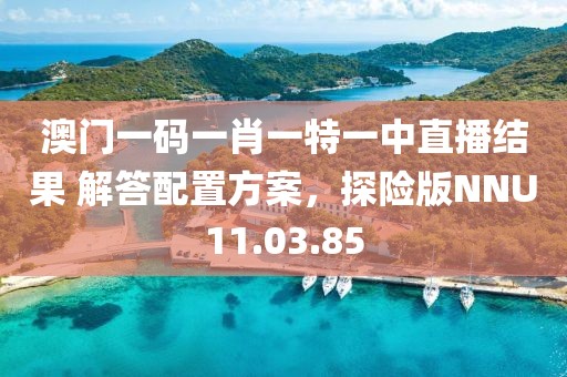 澳门一码一肖一特一中直播结果 解答配置方案，探险版NNU11.03.85