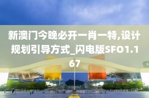 新澳门今晚必开一肖一特,设计规划引导方式_闪电版SFO1.167