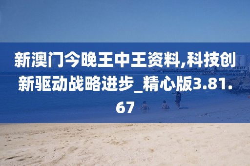 新澳门今晚王中王资料,科技创新驱动战略进步_精心版3.81.67