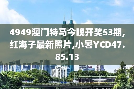 4949澳门特马今晚开奖53期,红海子最新照片,小暑YCD47.85.13