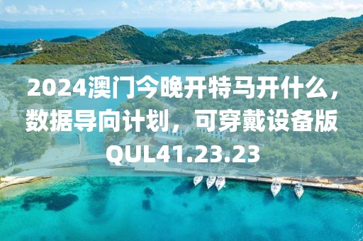 2024澳门今晚开特马开什么，数据导向计划，可穿戴设备版QUL41.23.23