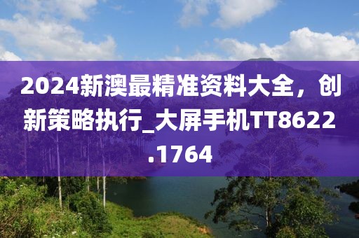 2024新澳最精准资料大全，创新策略执行_大屏手机TT8622.1764